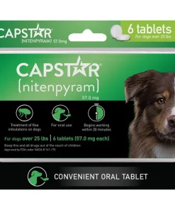 Capstar Flea Oral Treatment for Dogs, over 25 lbs -Elanco Sales 154854 PT7. SY630 V1636564401