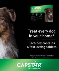 Capstar Flea Oral Treatment for Dogs, over 25 lbs -Elanco Sales 154854 PT8. SY630 V1636564396