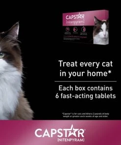 Capstar Flea Oral Treatment for Cats, 2-25 lbs 11 Capstar Flea Oral Treatment for Cats, 2-25 lbs -Elanco Sales 154856 PT2. SY630 V1636564310