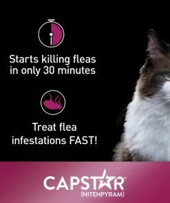 Capstar Flea Oral Treatment for Cats, 2-25 lbs 14 Capstar Flea Oral Treatment for Cats, 2-25 lbs -Elanco Sales 154856 PT5. SY630 V1557865032
