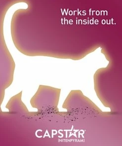 Capstar Flea Oral Treatment for Cats, 2-25 lbs 15 Capstar Flea Oral Treatment for Cats, 2-25 lbs -Elanco Sales 154856 PT6. SY630 V1557865039