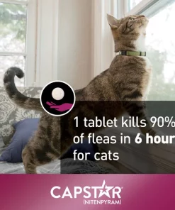 Capstar Flea Oral Treatment for Cats, 2-25 lbs 16 Capstar Flea Oral Treatment for Cats, 2-25 lbs -Elanco Sales 154856 PT7. SY630 V1557865052