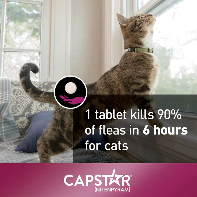 Capstar Flea Oral Treatment for Cats, 2-25 lbs 8 Capstar Flea Oral Treatment for Cats, 2-25 lbs - Image 8