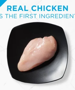 Purina Pro Plan Focus Small Breed Chicken Entree Grain-Free Wet Dog Food 13 Purina Pro Plan Focus Small Breed Chicken Entree Grain-Free Wet Dog Food -Elanco Sales 156339 PT4. SY630 V1658510307