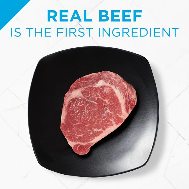 Purina Pro Plan Focus Small Breed Beef Entree Grain-Free Wet Dog Food 5 Purina Pro Plan Focus Small Breed Beef Entree Grain-Free Wet Dog Food - Image 5