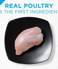 Purina Pro Plan Focus Small Breed Variety Pack Entree Grain-Free Wet Dog Food 13 Purina Pro Plan Focus Small Breed Variety Pack Entree Grain-Free Wet Dog Food -Elanco Sales 156345 PT4. SY630 V1658219796