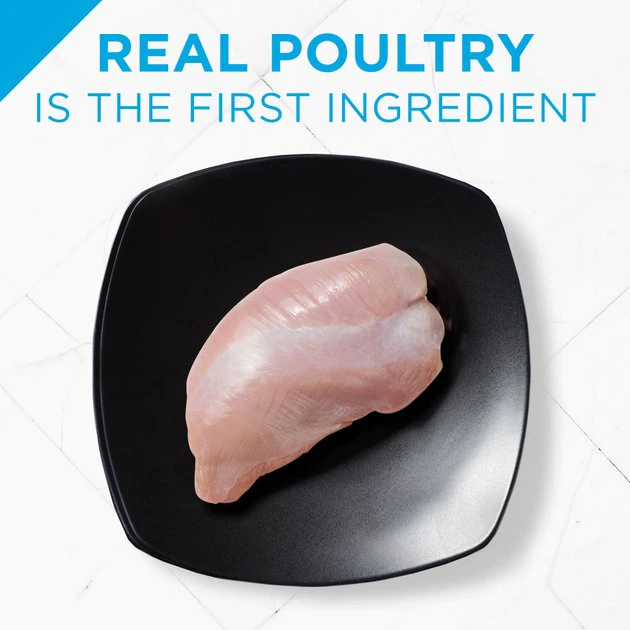 Purina Pro Plan Focus Small Breed Variety Pack Entree Grain-Free Wet Dog Food 5 Purina Pro Plan Focus Small Breed Variety Pack Entree Grain-Free Wet Dog Food - Image 5