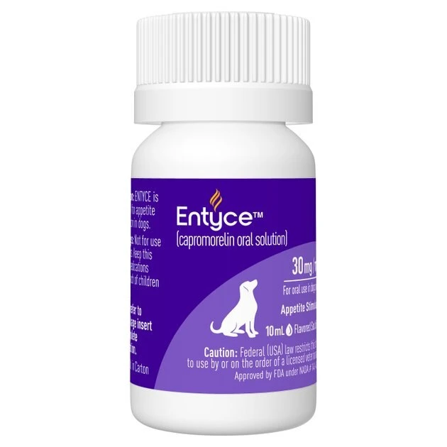 Entyce Oral Solution for Dogs 2 Entyce Oral Solution for Dogs - Image 2