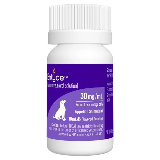 Entyce Oral Solution for Dogs 3 Entyce Oral Solution for Dogs - Image 3