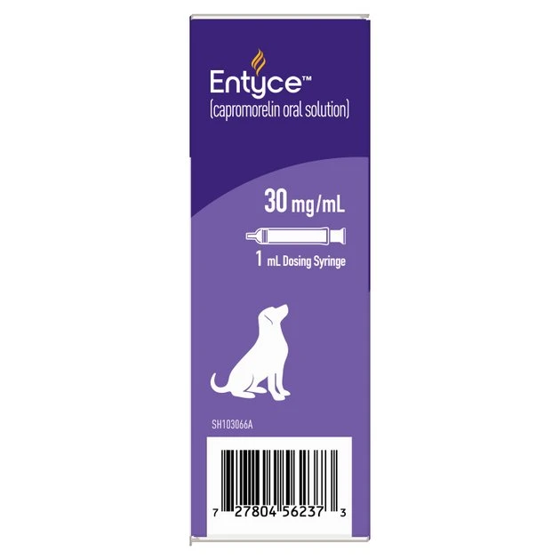 Entyce Oral Solution for Dogs 4 Entyce Oral Solution for Dogs - Image 4
