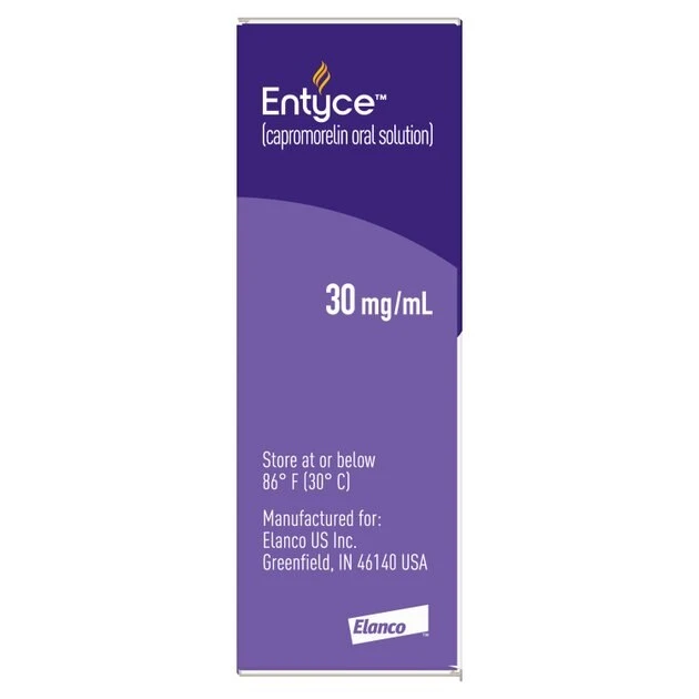 Entyce Oral Solution for Dogs 6 Entyce Oral Solution for Dogs - Image 6