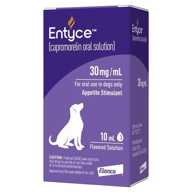 Entyce Oral Solution for Dogs 8 Entyce Oral Solution for Dogs - Image 8