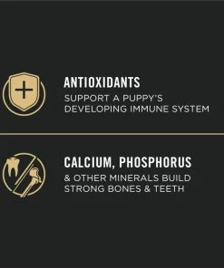 Purina Pro Plan High Protein Chicken & Rice Formula Large Breed Dry Puppy Food -Elanco Sales 216713 PT8. SY630 V1658284531