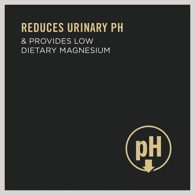 Purina Pro Plan Focus Urinary Tract Health Seafood Favorites Variety Pack Canned Cat Food, 3-oz can, case of 24 4 Purina Pro Plan Focus Urinary Tract Health Seafood Favorites Variety Pack Canned Cat Food, 3-oz can, case of 24 - Image 4