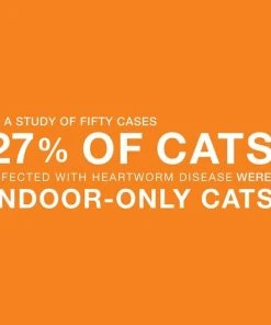 Advantage Multi Topical Solution for Cats, 2-5 lbs (Turquoise Box) -Elanco Sales 238005 PT4. SY630 V1591291597