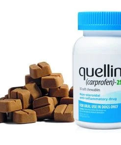 Quellin (Carprofen) Chew for Dogs -Elanco Sales 255310 PT4. SY630 V1621948046