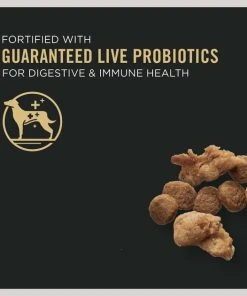 Purina Pro Plan Specialized Shredded Blend Beef & Rice Formula High Protein Small Breed Dry Dog Food 11 Purina Pro Plan Specialized Shredded Blend Beef & Rice Formula High Protein Small Breed Dry Dog Food -Elanco Sales 271616 PT2. SY630 V1647907331