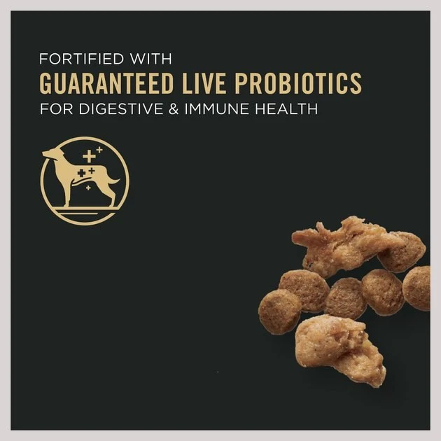 Purina Pro Plan Specialized Shredded Blend Beef & Rice Formula High Protein Small Breed Dry Dog Food 3 Purina Pro Plan Specialized Shredded Blend Beef & Rice Formula High Protein Small Breed Dry Dog Food - Image 3