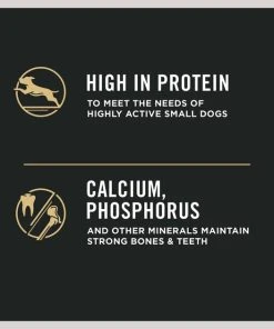 Purina Pro Plan Specialized Shredded Blend Beef & Rice Formula High Protein Small Breed Dry Dog Food 13 Purina Pro Plan Specialized Shredded Blend Beef & Rice Formula High Protein Small Breed Dry Dog Food -Elanco Sales 271616 PT4. SY630 V1647906143