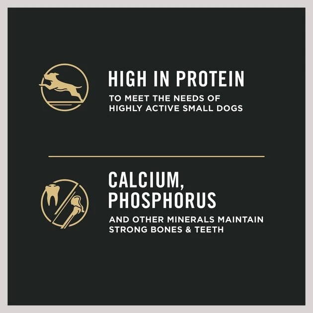 Purina Pro Plan Specialized Shredded Blend Beef & Rice Formula High Protein Small Breed Dry Dog Food 5 Purina Pro Plan Specialized Shredded Blend Beef & Rice Formula High Protein Small Breed Dry Dog Food - Image 5