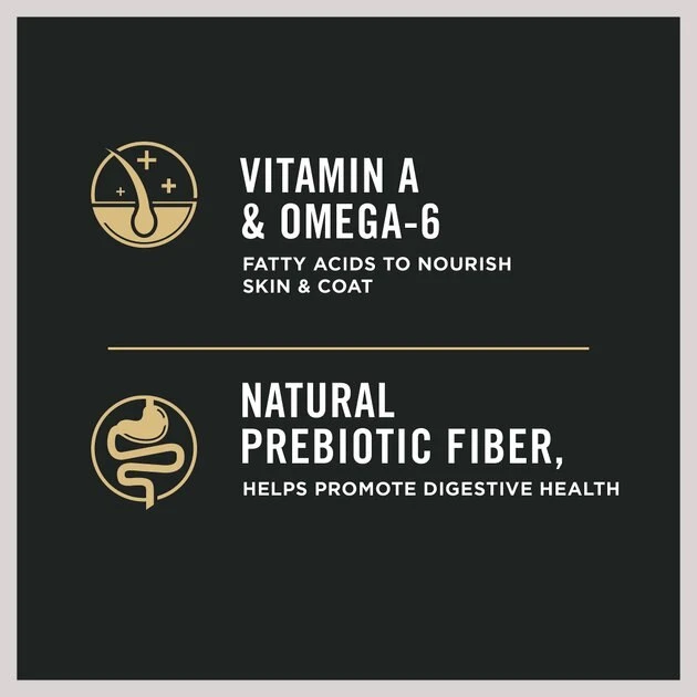 Purina Pro Plan Complete Essentials Shredded Blend Turkey & Rice Formula High Protein Dry Dog Food 7 Purina Pro Plan Complete Essentials Shredded Blend Turkey & Rice Formula High Protein Dry Dog Food - Image 7