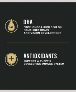 Purina Pro Plan Development Sensitive Skin & Stomach Salmon & Rice Large Breed Dry Puppy Food -Elanco Sales 271630 PT4. SY630 V1657912146