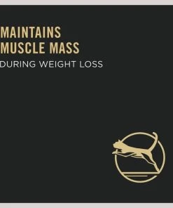 Purina Pro Plan LIVECLEAR Adult Weight Management Formula Dry Cat Food -Elanco Sales 276048 PT7. SY630 V1649202444