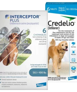 Interceptor Plus||Credelio Interceptor Plus for Dogs, 6 Chews (6-mos. supply) & Credelio for Dogs, 6 Chewable Tablets (6-mos. supply)