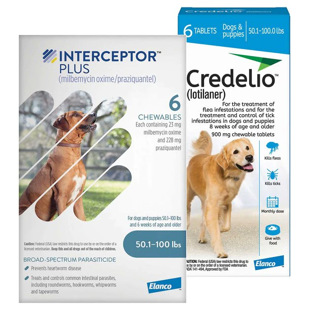 Interceptor Plus||Credelio Interceptor Plus for Dogs, 6 Chews (6-mos. supply) & Credelio for Dogs, 6 Chewable Tablets (6-mos. supply) 1 Interceptor Plus||Credelio Interceptor Plus for Dogs, 6 Chews (6-mos. supply) & Credelio for Dogs, 6 Chewable Tablets (6-mos. supply)