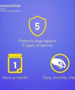 Interceptor Plus||Credelio Interceptor Plus for Dogs, 6 Chews (6-mos. supply) & Credelio for Dogs, 6 Chewable Tablets (6-mos. supply) 13 Interceptor Plus||Credelio Interceptor Plus for Dogs, 6 Chews (6-mos. supply) & Credelio for Dogs, 6 Chewable Tablets (6-mos. supply) -Elanco Sales 276945 PT4. SY630 V1622741841