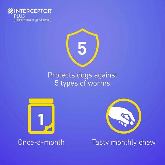 Interceptor Plus||Credelio Interceptor Plus for Dogs, 6 Chews (6-mos. supply) & Credelio for Dogs, 6 Chewable Tablets (6-mos. supply) 5 Interceptor Plus||Credelio Interceptor Plus for Dogs, 6 Chews (6-mos. supply) & Credelio for Dogs, 6 Chewable Tablets (6-mos. supply) - Image 5