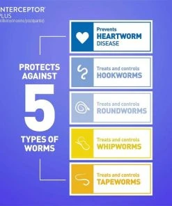 Interceptor Plus||Credelio Interceptor Plus for Dogs, 6 Chews (6-mos. supply) & Credelio for Dogs, 6 Chewable Tablets (6-mos. supply) 14 Interceptor Plus||Credelio Interceptor Plus for Dogs, 6 Chews (6-mos. supply) & Credelio for Dogs, 6 Chewable Tablets (6-mos. supply) -Elanco Sales 276945 PT5. SY630 V1622741862