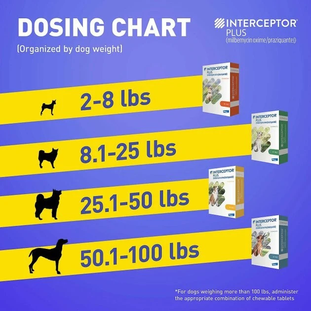 Interceptor Plus||Credelio Interceptor Plus for Dogs, 6 Chews (6-mos. supply) & Credelio for Dogs, 6 Chewable Tablets (6-mos. supply) 7 Interceptor Plus||Credelio Interceptor Plus for Dogs, 6 Chews (6-mos. supply) & Credelio for Dogs, 6 Chewable Tablets (6-mos. supply) - Image 7