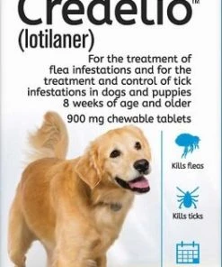 Interceptor Plus||Credelio Interceptor Plus for Dogs, 6 Chews (6-mos. supply) & Credelio for Dogs, 6 Chewable Tablets (6-mos. supply) 16 Interceptor Plus||Credelio Interceptor Plus for Dogs, 6 Chews (6-mos. supply) & Credelio for Dogs, 6 Chewable Tablets (6-mos. supply) -Elanco Sales 276945 PT7. SY630 V1622741856