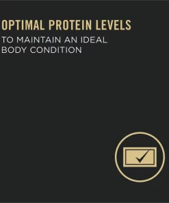 Purina Pro Plan Adult 7+ Complete Essentials Turkey & Rice Entree Wet Dog Food, 13-oz can, case of 12 -Elanco Sales 280293 PT3. SY630 V1615850188