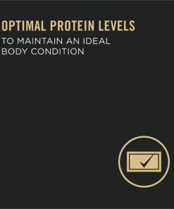 Purina Pro Plan Adult 7+ Complete Essentials Chicken & Rice Entree Wet Dog Food, 13-oz can, case of 12 -Elanco Sales 280295 PT3. SY630 V1615844215