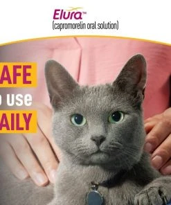 Elura (capromorelinoral solution) for Cats -Elanco Sales 290537 PT5. SY630 V1621528336