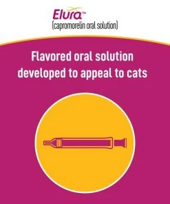 Elura (capromorelinoral solution) for Cats -Elanco Sales 290537 PT6. SY630 V1621528332