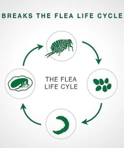 Advantage II||Elanco Advantage II Flea Spot Treatment, 5-9 lbs + Elanco Tapeworm Cat De-Wormer 12 Advantage II||Elanco Advantage II Flea Spot Treatment, 5-9 lbs + Elanco Tapeworm Cat De-Wormer -Elanco Sales 292562 PT3. SY630 V1651631225