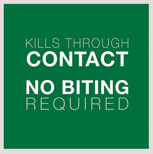 Advantage II||Elanco Advantage II Flea Spot Treatment, 5-9 lbs + Elanco Tapeworm Cat De-Wormer 5 Advantage II||Elanco Advantage II Flea Spot Treatment, 5-9 lbs + Elanco Tapeworm Cat De-Wormer - Image 5