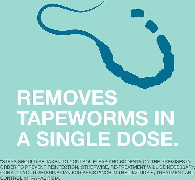 Capstar||Elanco Capstar Flea Oral Treatment, 2-25 lbs + Elanco Tapeworm Cat De-Wormer 9 Capstar||Elanco Capstar Flea Oral Treatment, 2-25 lbs + Elanco Tapeworm Cat De-Wormer - Image 9