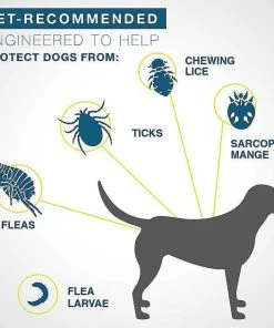 Seresto Flea & Tick Collar for Dogs, up to 18-lbs + Flea & Tick Collar for Cats 10 Seresto Flea & Tick Collar for Dogs, up to 18-lbs + Flea & Tick Collar for Cats -Elanco Sales 293840 PT3. SY630 V1620088625