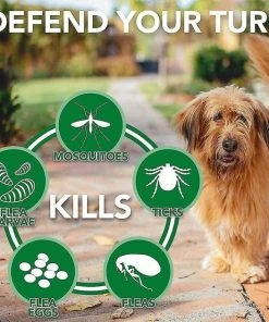 Vet's Best||Seresto Vet's Best Flea + Tick Home Spray + Seresto Flea & Tick Collar for Dogs, over 18-lbs 10 Vet's Best||Seresto Vet's Best Flea + Tick Home Spray + Seresto Flea & Tick Collar for Dogs, over 18-lbs -Elanco Sales 293968 PT3. SY630 V1620090145