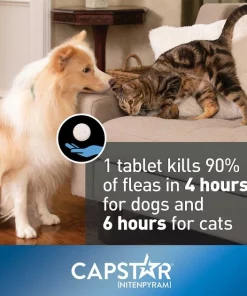 Capstar||Onguard Plus Capstar Flea Oral Treatment for Dogs, over 25 lbs, 6 Tablets + Onguard Flea & Tick Spot Treatment for Dogs, 23-44 lbs, 6 Doses (6-mos. supply) -Elanco Sales 297652 PT2. SY630 V1621265563