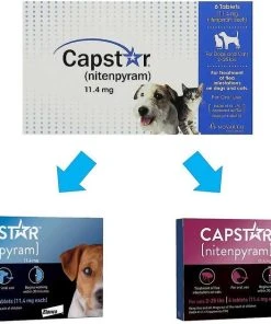 Capstar||Elanco Capstar Flea Oral Treatment for Dogs, 2-25 lbs, 6 Tablets + Elanco Tapeworm Dog De-Wormer, 5 count 13 Capstar||Elanco Capstar Flea Oral Treatment for Dogs, 2-25 lbs, 6 Tablets + Elanco Tapeworm Dog De-Wormer, 5 count -Elanco Sales 297860 PT4. SY630 V1640039482