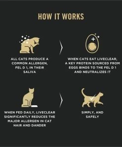 Purina Pro Plan LiveClear Kitten Chicken & Rice Formula Dry Cat Food 12 Purina Pro Plan LiveClear Kitten Chicken & Rice Formula Dry Cat Food -Elanco Sales 328611 PT3. SY630 V1631057210