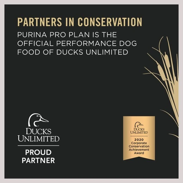 Purina Pro Plan Sport Performance 30/20 Salmon & Cod Formula Dry Dog Food 4 Purina Pro Plan Sport Performance 30/20 Salmon & Cod Formula Dry Dog Food - Image 4