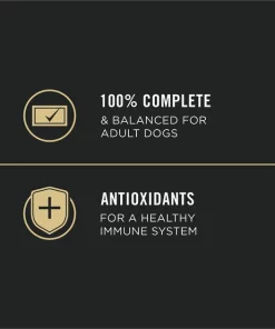 Purina Pro Plan Sport High Protein Turkey, Duck & Quail Entrée Wet Dog Food -Elanco Sales 331806 PT5. SY630 V1632338822