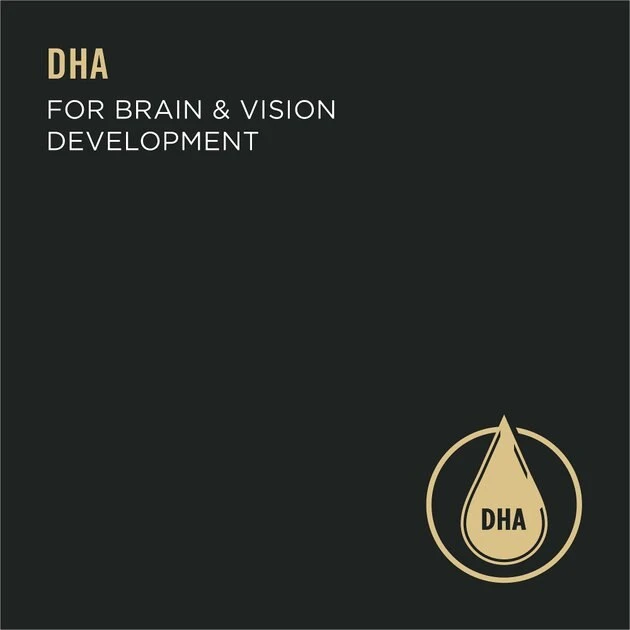 Purina Pro Plan Sport Puppy High Protein Chicken & Rice Wet Dog Food, 13-oz can, case of 12 3 Purina Pro Plan Sport Puppy High Protein Chicken & Rice Wet Dog Food, 13-oz can, case of 12 - Image 3