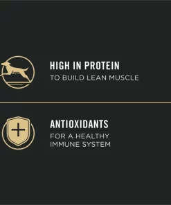 Purina Pro Plan Sport Puppy High Protein Chicken & Rice Wet Dog Food, 13-oz can, case of 12 12 Purina Pro Plan Sport Puppy High Protein Chicken & Rice Wet Dog Food, 13-oz can, case of 12 -Elanco Sales 352974 PT3. SY630 V1638474988
